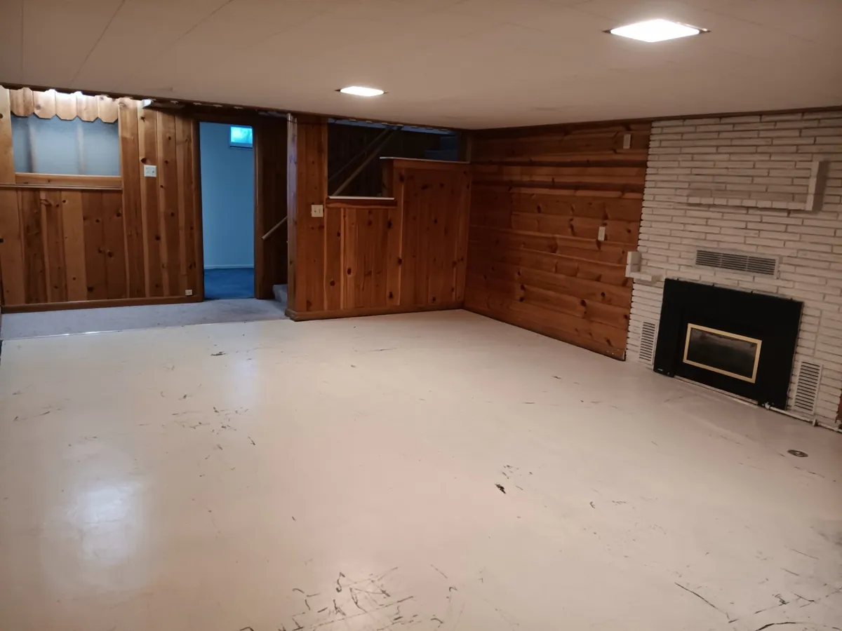 Lower level, hearth wall before renovation